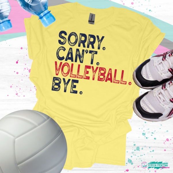 Sorry, Can't, Volleyball